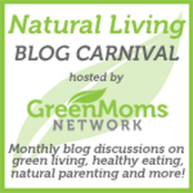 Blog Carnival Banner